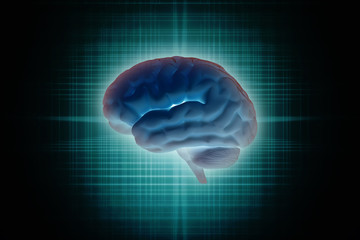 Wall Mural - Human brain 3d illustration