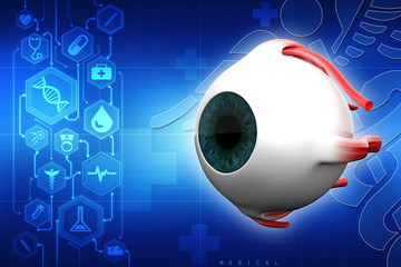 Wall Mural - 3d rendering Human eye structure