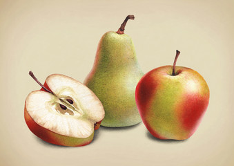 Wall Mural - Watercolor illustrations of apples and pears.