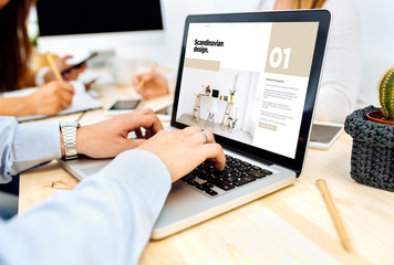 people browsing scandinavian design website