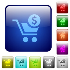 Poster - Checkout with Dollar cart color square buttons