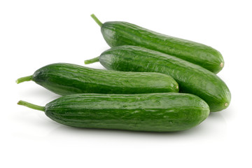 Cucumber