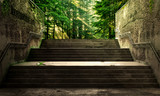 Fototapeta Do przedpokoju - Success concept. Front view from the gray stairs to the morning forest. Concept of success.