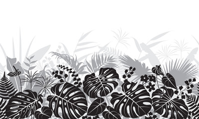 Wall Mural - tropical leaves monochrome pattern