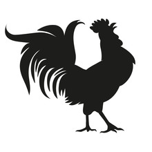 Black Silhouette Of A Rooster. Isolated On A White Background. Vector Illustration.