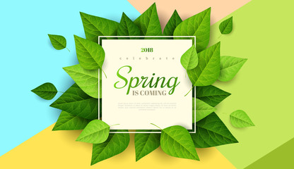 Spring background with green leaves