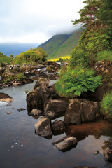 Sticker - Colorful nature scene with the small stream