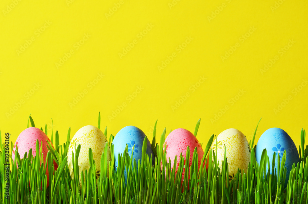 Painted Easter eggs in a green grass on a meadow. Stock Photo | Adobe Stock