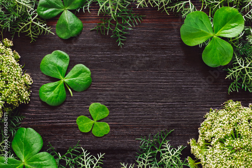 Fotografia, Obraz Shamrocks with Mixed Foliage on Dark Table