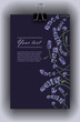 vector template color drawn design with lavender plants