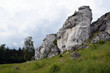 Rock formation in Krakow Czestochowa Upload. Polish Jurassic Highland.