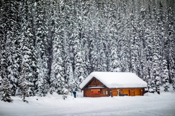 Wall Mural - Remote little wooden cabin lost in a snowfall in the Canadian Rockies