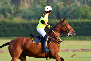 Wall Mural - Lady horse polo players are competin