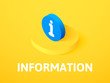Information isometric icon, isolated on color background