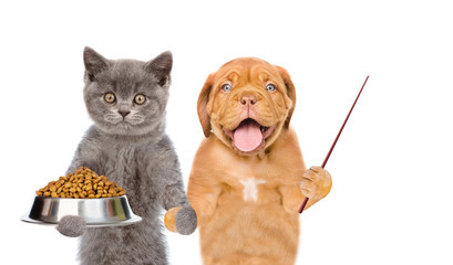 Poster - kitten holding bowl of dry dog food and puppy pointing away. isolated on white background