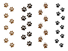 Colorful Pet Paw Print Tracks On White Vector