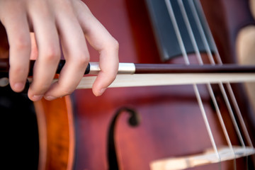 Wall Mural - Detail of girl with her cello on the outside