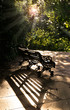 An old bench in the park in the sun's rays