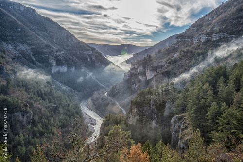 Fotomural CANYON OF THE GORGES DU TARN FORMED BY THE TARN RIVER BETWEEN THE CAUSSE MEJEAN