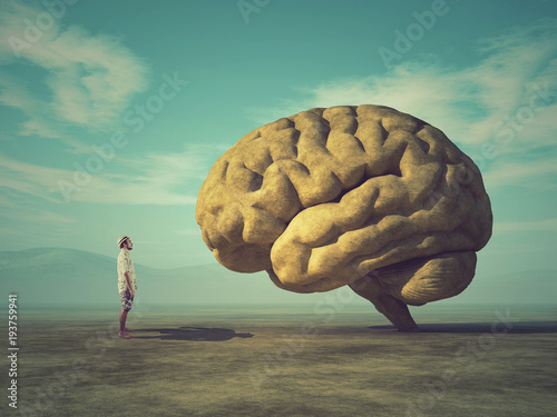 Fotografía Conceptual image of a large stone in the shape of the human brain