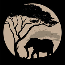 Silhouette Scene With Elephant And Tree