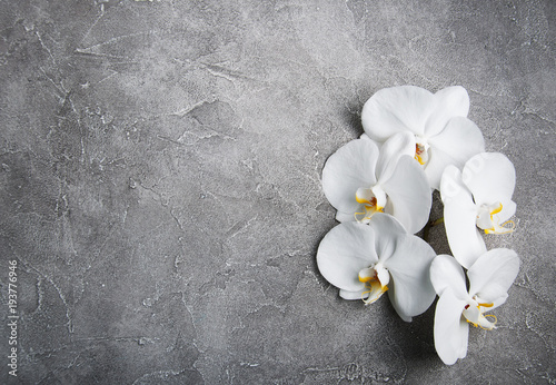 Dekoracja na wymiar  biala-orchidea-na-szarym-kamieniu