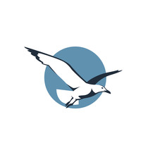 Icon Of Flying Seagull In Blue Circle