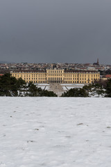 Wall Mural - schonbrunn