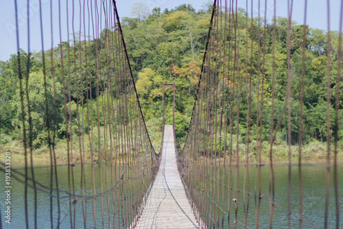 Fototapeta most linowy  most-linowy-prowadzacy-do-lasu
