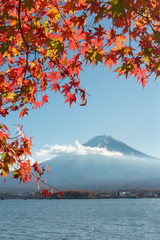 Wall Mural - View of Kawaguchiko lake with maple leaves in front of fuji-san mountain famous place of Japan for the rourist.