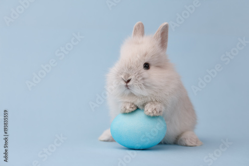 Plakat Wielkanocnego królika królik z błękit malującym jajkiem na błękitnym tle. Koncepcja wakacje wielkanocne.