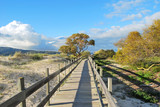 Fototapeta Pomosty - caminha de madeira para a praia