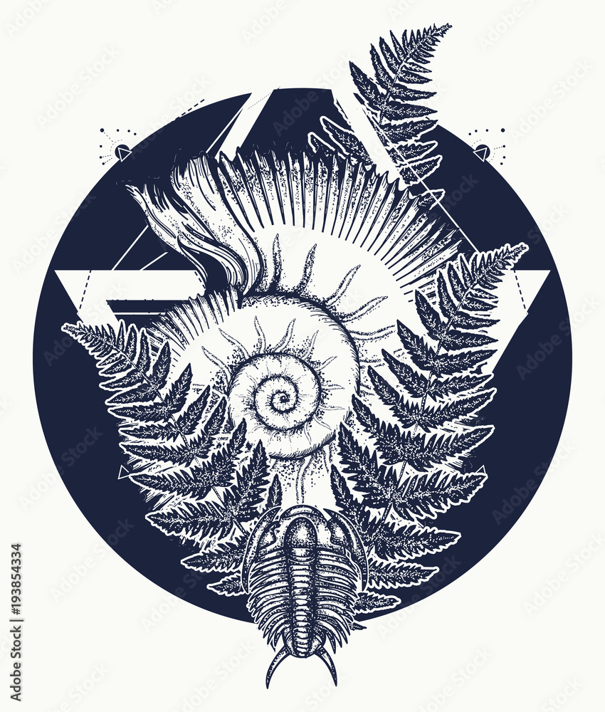 Nautilus shell prehistoric tattoo art. Trilobites, ammonite and fern tattoo.  Ancient ammonite in the triangle t-shirt design. Ancient fossils, symbol of  paleontology, science, education Stock Vector | Adobe Stock, image size:850x1000