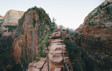 Wall Mural - angels landing hiking trail in zion national park, utah, usa