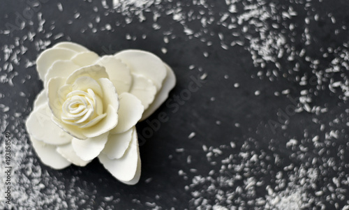 Rose Blanche Sur Fond Noir Buy This Stock Photo And Explore