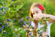 © MNStudio - Cute little girl picking fresh berries on organic blueberry farm on warm and sunny summer day. Fresh healthy organic food for kids.