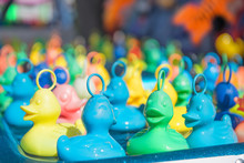 Plastic Ducks At The Fair