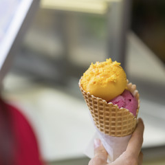 Two balls of fruit ice cream orange and pink colors in waffle cone, Female hand. Popular delicacies for adults and children.Selective focus. Real scene, square background