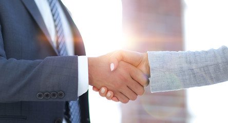 Businessmen handshaking after successful business meeting