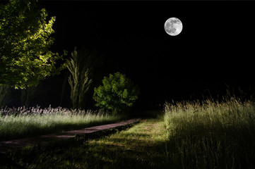 Wall Mural - Beautiful night landscape of big full moon rising over the mountain road with hill and trees, mystical concept