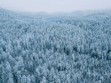 Aerial Of A Snowy Pine Forest On A Cloudy Day With Mountains In The Background At Lake Eibsee, Germany