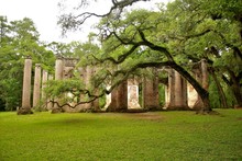 Historic Sheldon Church Ruins In Charleston, South Carolina