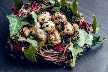 Easter eggs. Easter eggs with decoration.Quail and chicken eggs in a birds nest.