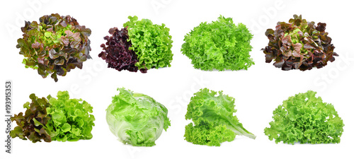 Fotografía set of lettuce vegetable isolated on white background