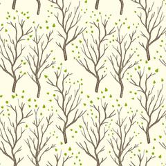 Plakat roślina natura las brzoza jesień