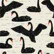 Seamless pattern with floating black swans. Hand drawn birds