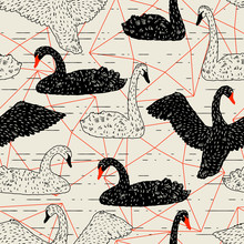 Seamless Pattern With Floating Black And White Swans. Hand Drawn Birds