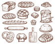 Bakery set with a lot of types fresh bread.