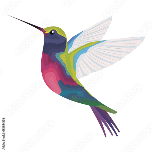 Fotomural cute hummingbird flying icon vector illustration design