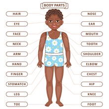 Vector Flat African Black Boy Body Part Vocabulary. Children Education, English Learning, Preschool Kid Human Anatomy Structure Pupil Poster Template. Isolated White Background Illustration